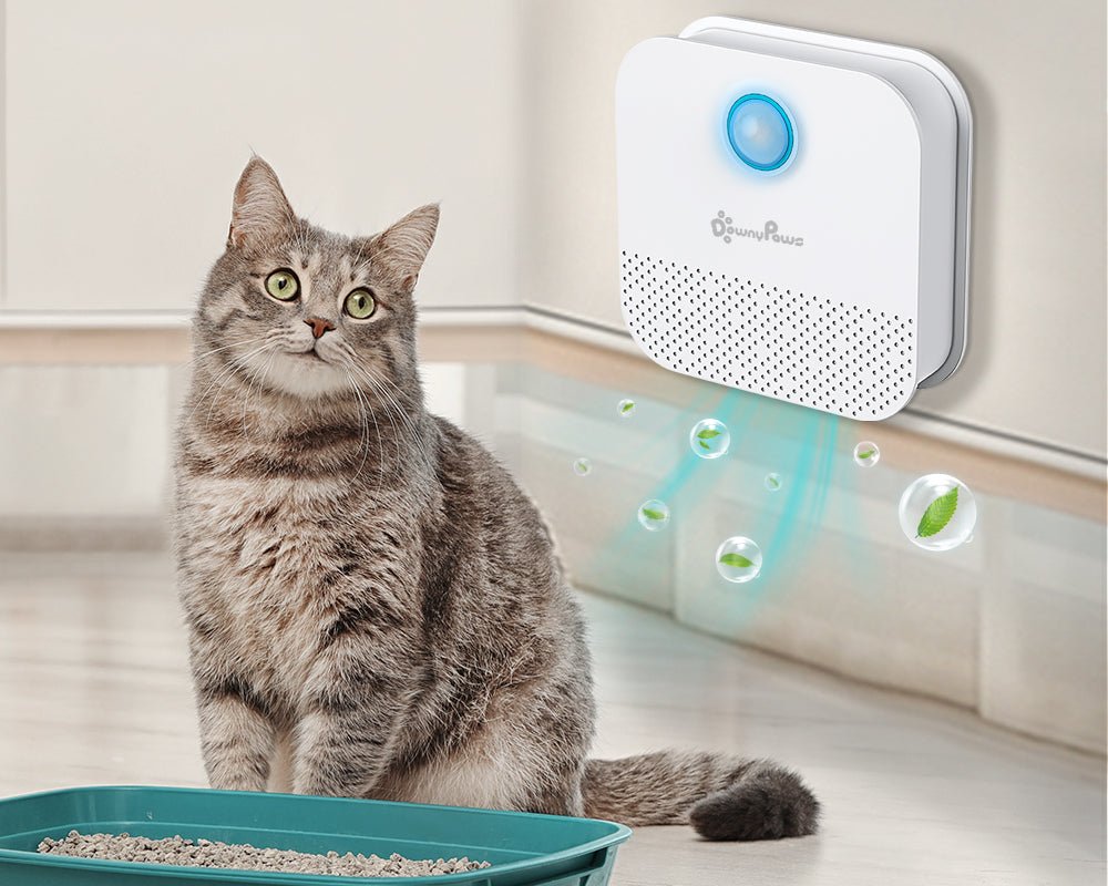 Compact Size Litter Box