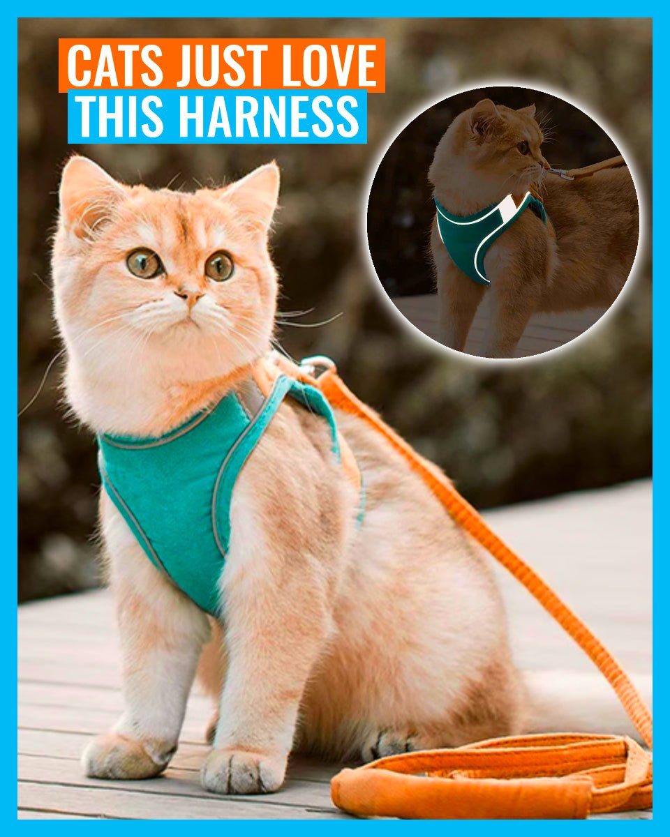 Leash Glow - Luminous Cat Vest Harness And Leash Set