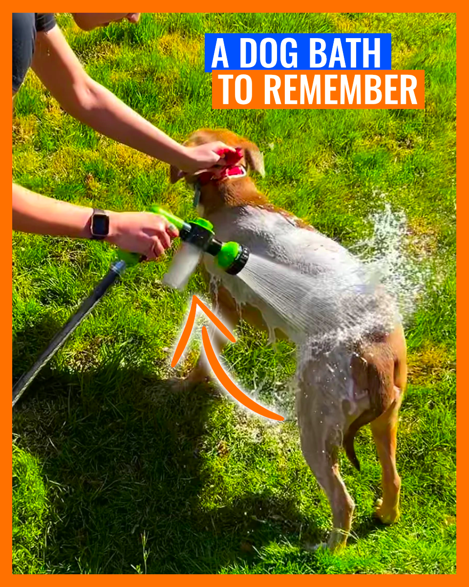 Wash Paw - The Original Pup Jet
