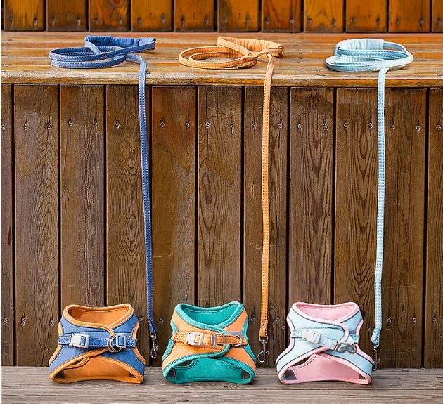 Leash Glow - Luminous Cat Vest Harness And Leash Set