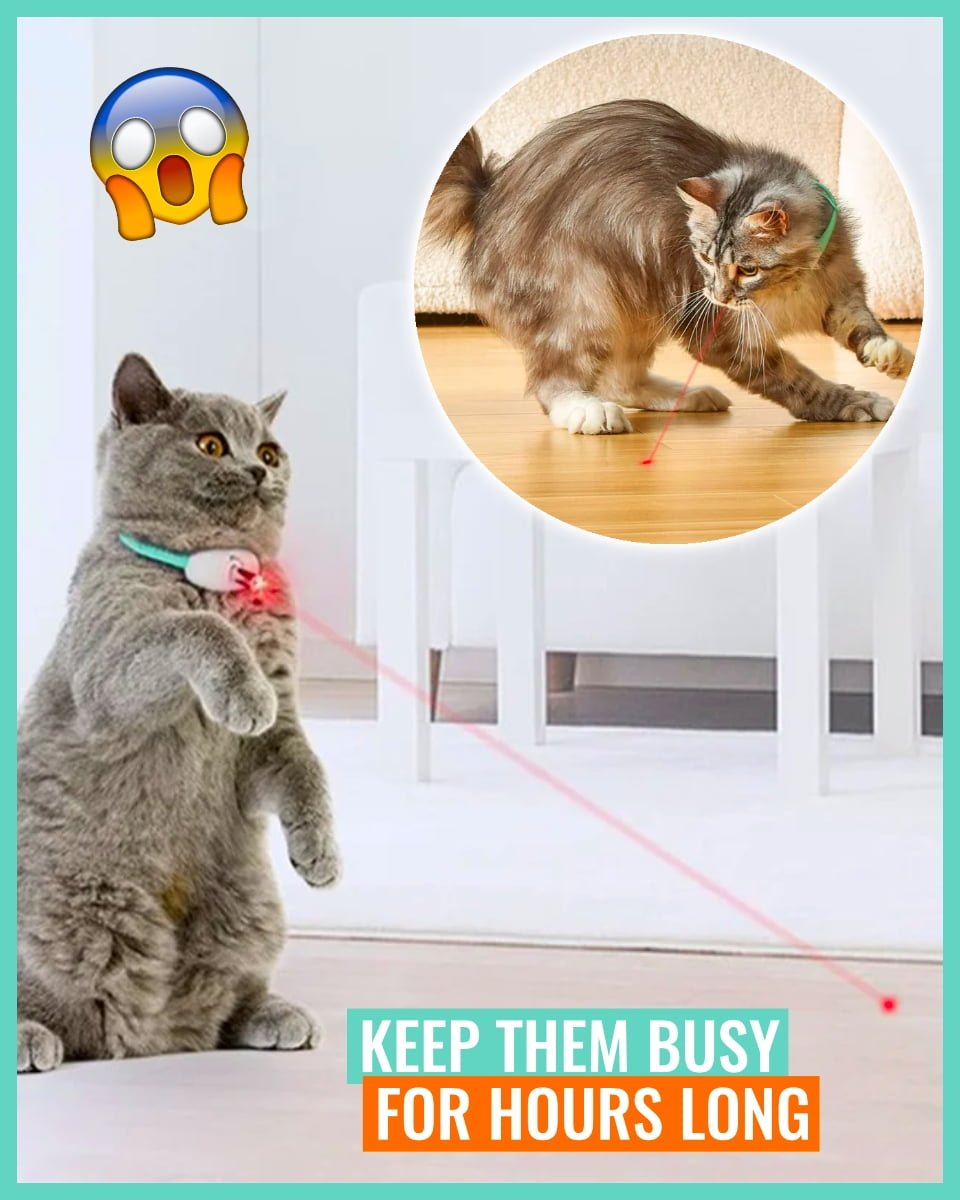Beam Acti - Smart Amusing Collar for Kitten