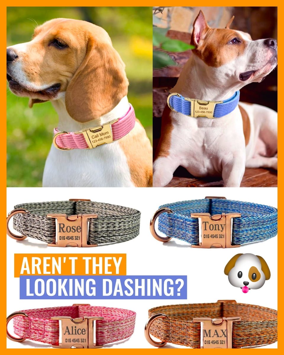 Band Pup - Personalized Dog Collar